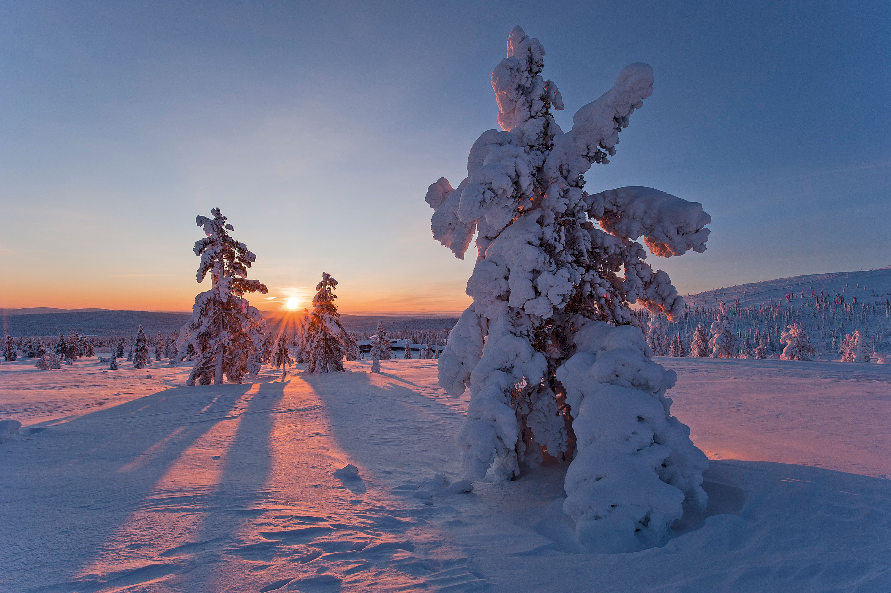 Mittagssonne im Januar auf dem Pallastunturi bei Muonio in Finnland. Die weiße Leinwand der Landschaft in intensives Licht getaucht © Klaus-Peter Kappest