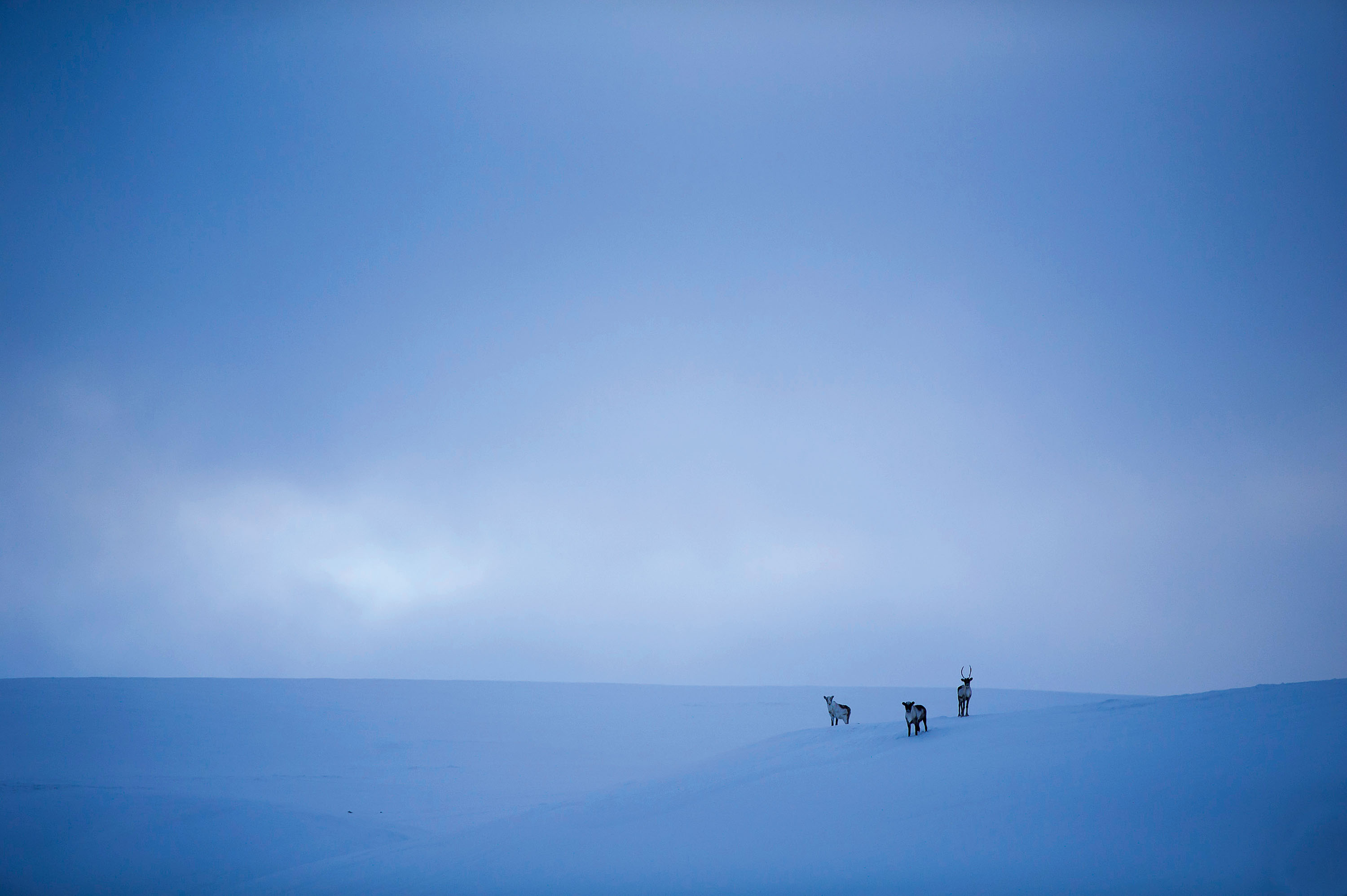 Die Tundra in finnisch Lappland. Die Sonne knapp unter dem Horizont. Durch die Wolkendecke dringt blaues Licht © Klaus-Peter Kappest