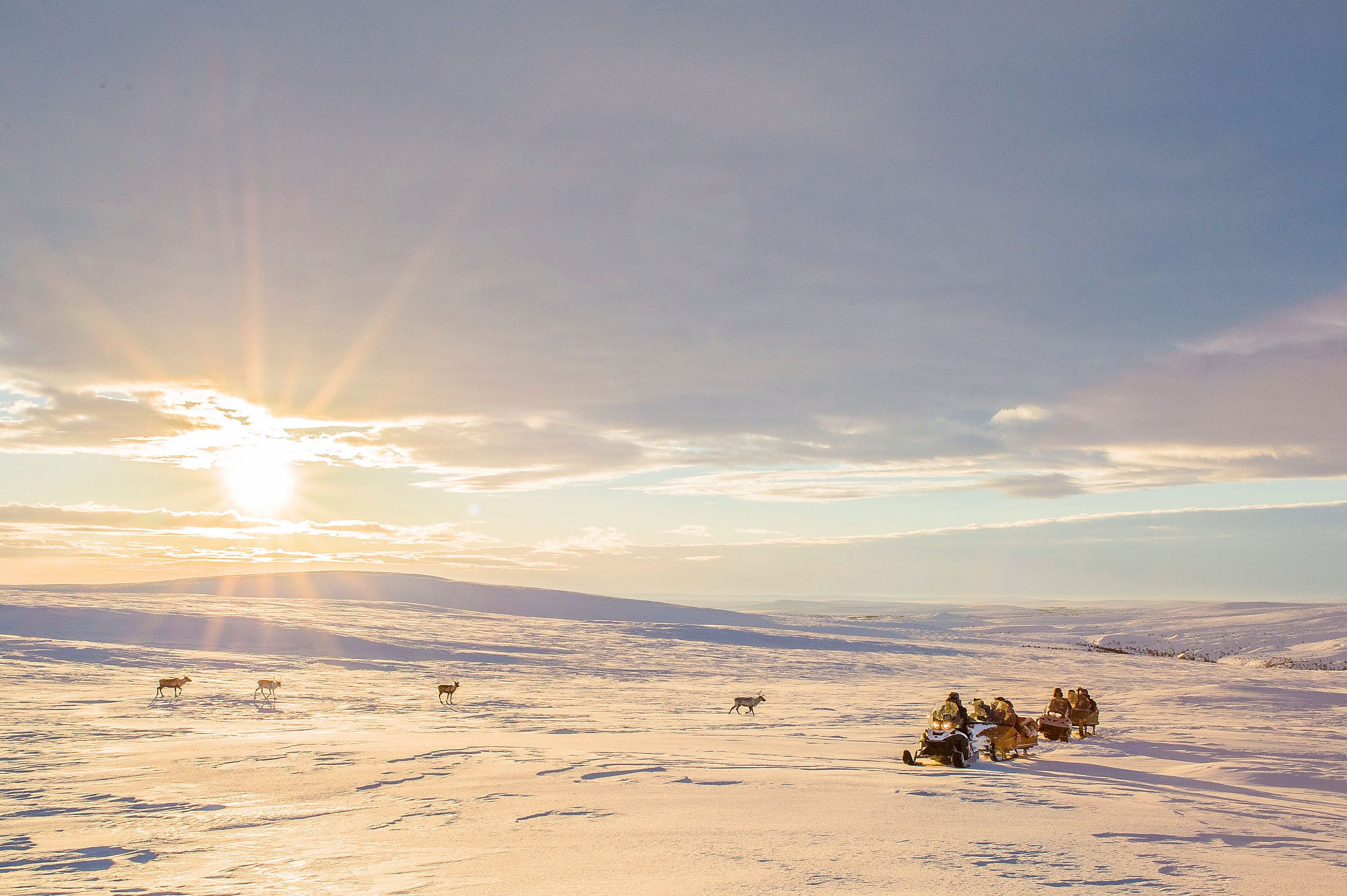 In der Tundra zwischen Utsjoki und Imari. Die Sonne überzieht die Land- schaft mit einem zartgoldenen Licht © Klaus-Peter Kappest
