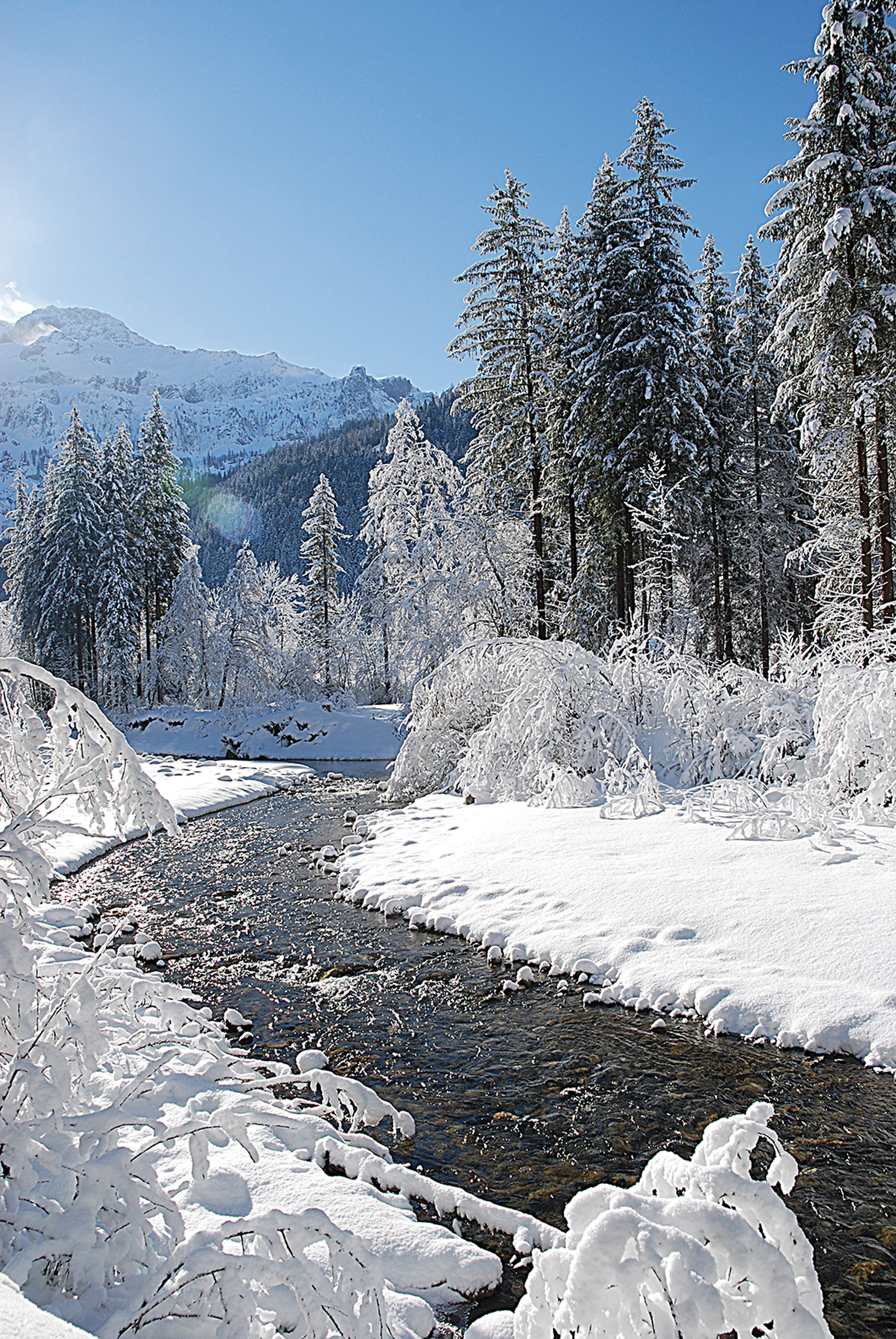 Romantische Landschaft im Lenker Talboden. © Lenk-Simmental-Tourismus/Paul Geiser