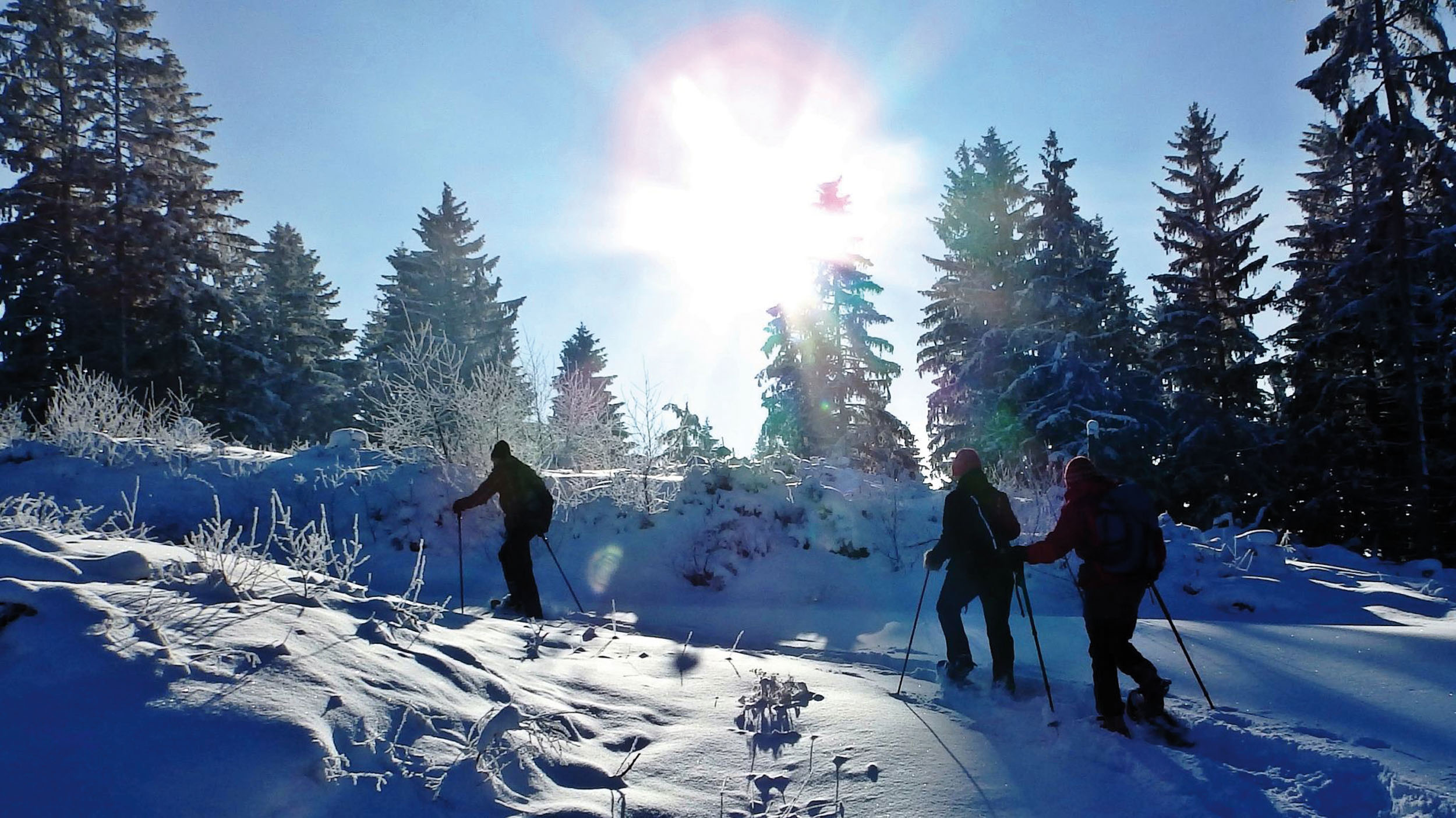 ... oder auf Schneeschuhen. © Alpenregion Nationalpark Gesäuse