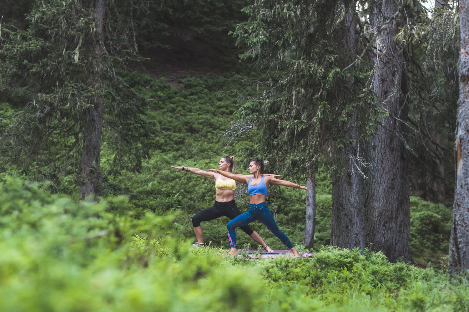 Yoga-Momente in der Natur erleben ©  saalbach, Mia Knoll