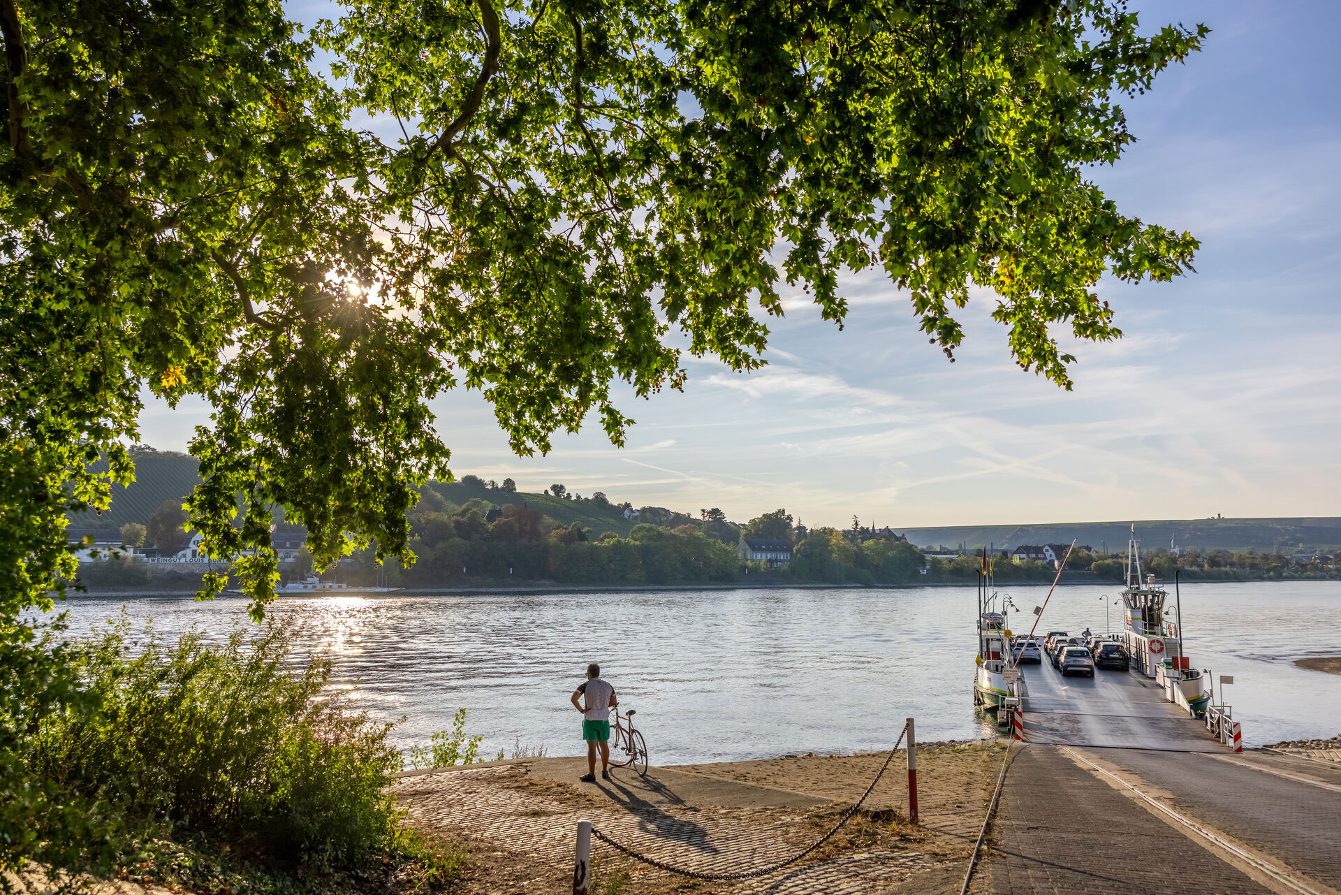 Blick über den Rhein mit Rheinfähre Landskrone © #visitrheinmain, David Vasicek 