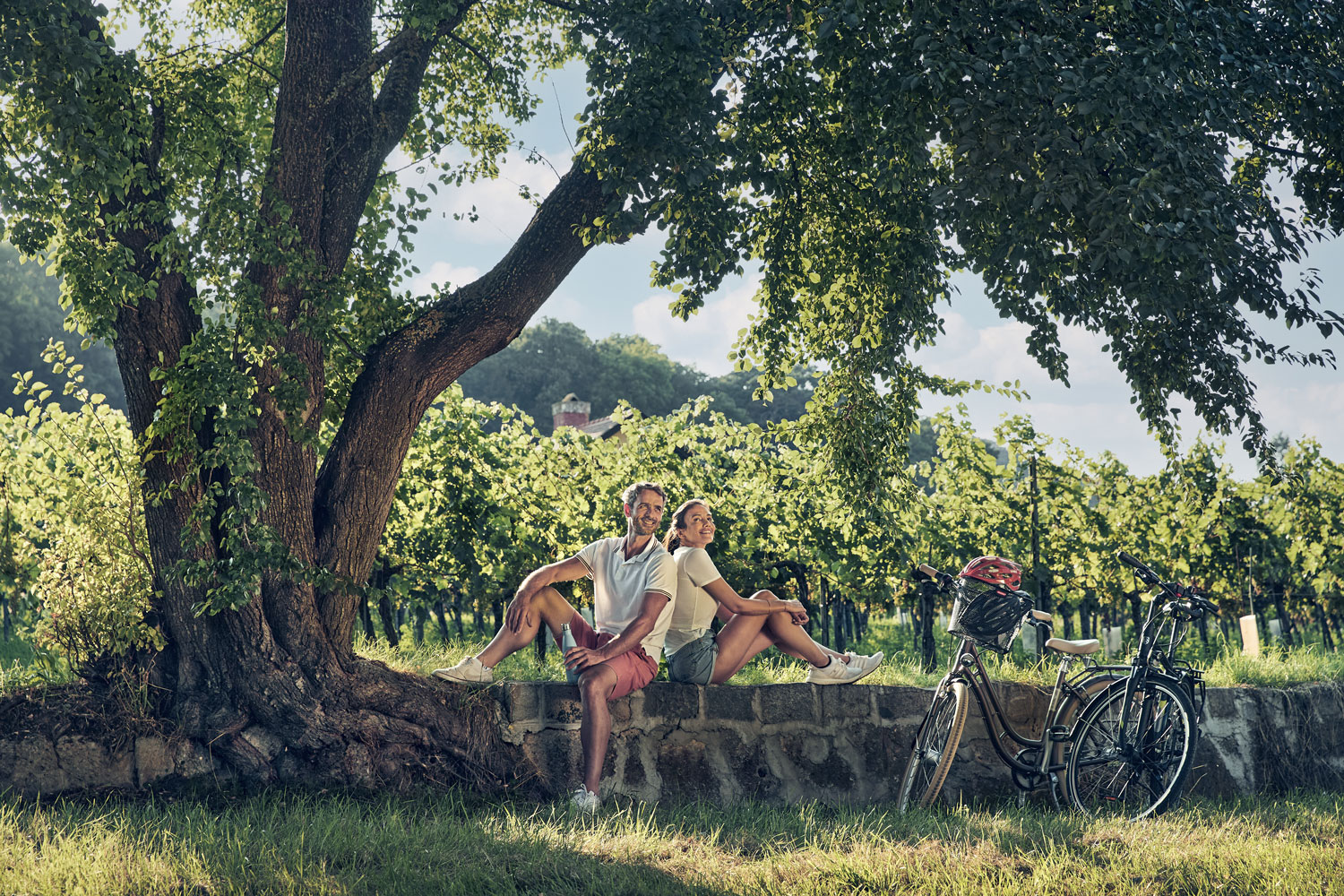 Radfahren zwischen den zahlreichen Weinreben der Region © Andreas Hofer
