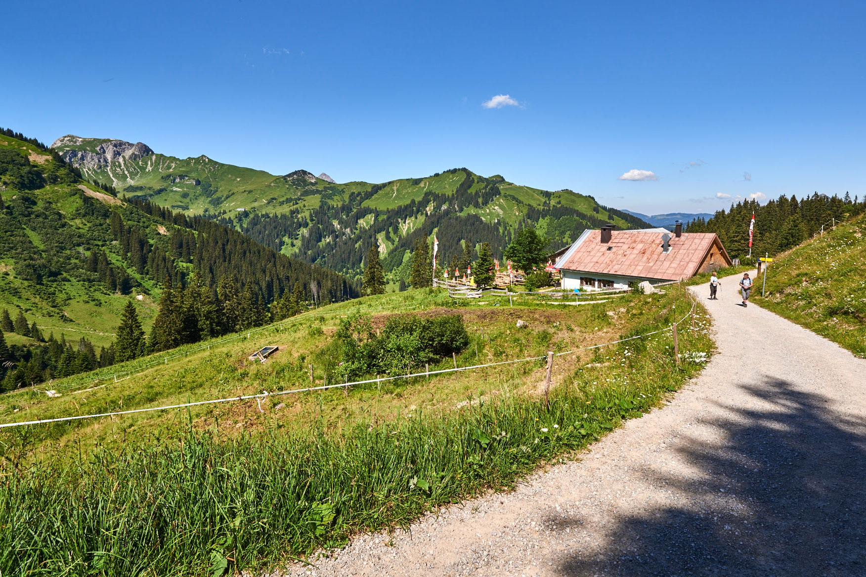 Ein Tal, drei Ebenen: Urige Almen sind insbesondere Teil der zweiten Ebene im Tannheimer Tal © TVB Tannheimer Tal, Achim Meurer 