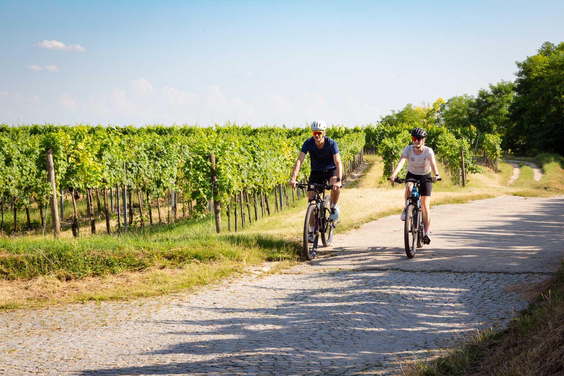 Radeln auf dem Donauradweg © Donau Niederösterreich/ Barbara Elser