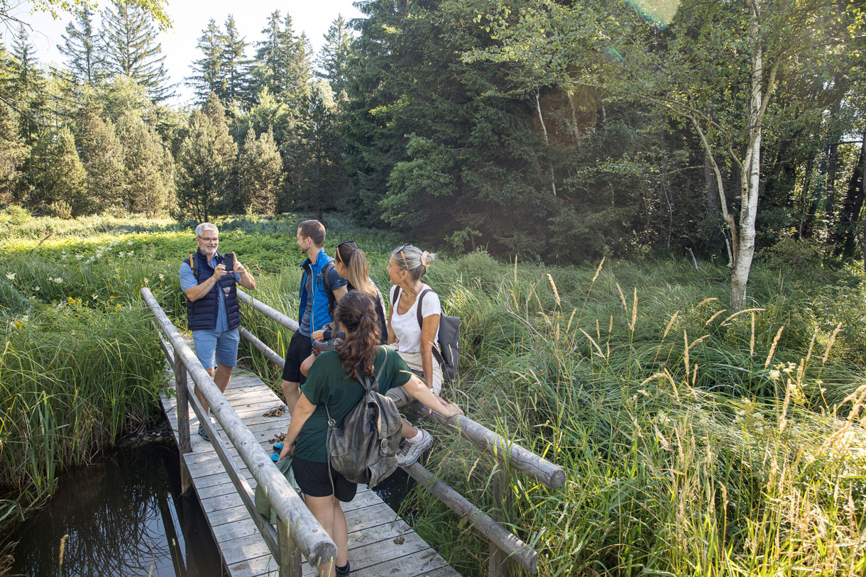 Auf der geführten Wanderung für Feinschmecker & Moorentdecker, jeden ersten Samstag im Monat von Juni bis Oktober © Isny Marketing GmbH, Ernst Fesseler