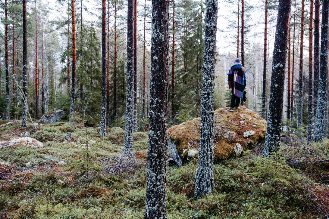 Die Suche nach dem passenden Tannenbäumchen führt über Stock und Stein.