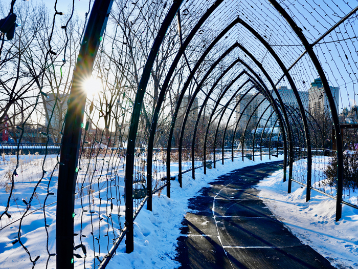 Sonnenmoment in Winnipeg.