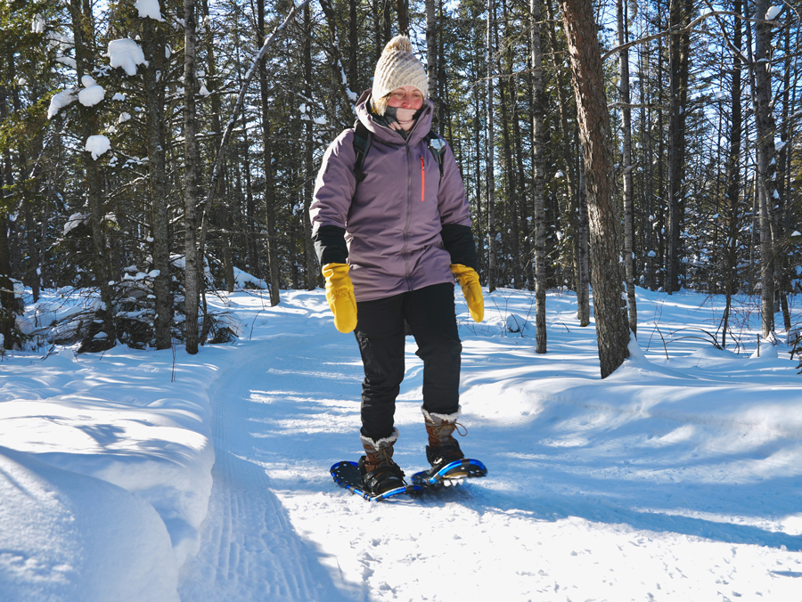 Person mit Schneeschuhe im Wald