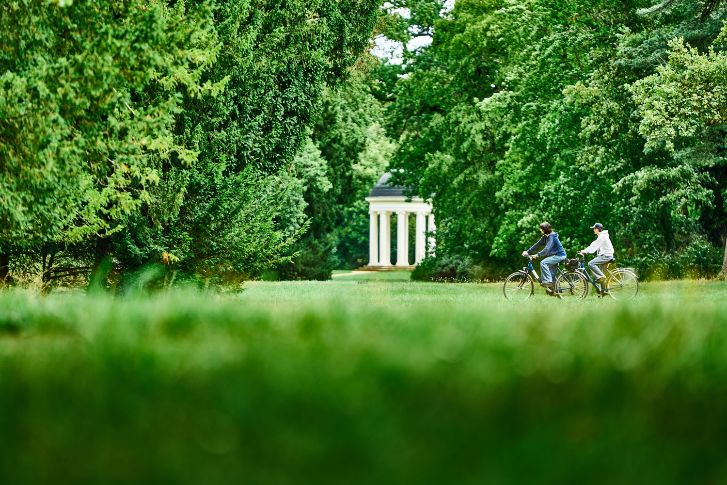 Radfahrende in einer Parkanlage auf der Gartenreichtour Fürst-Franz