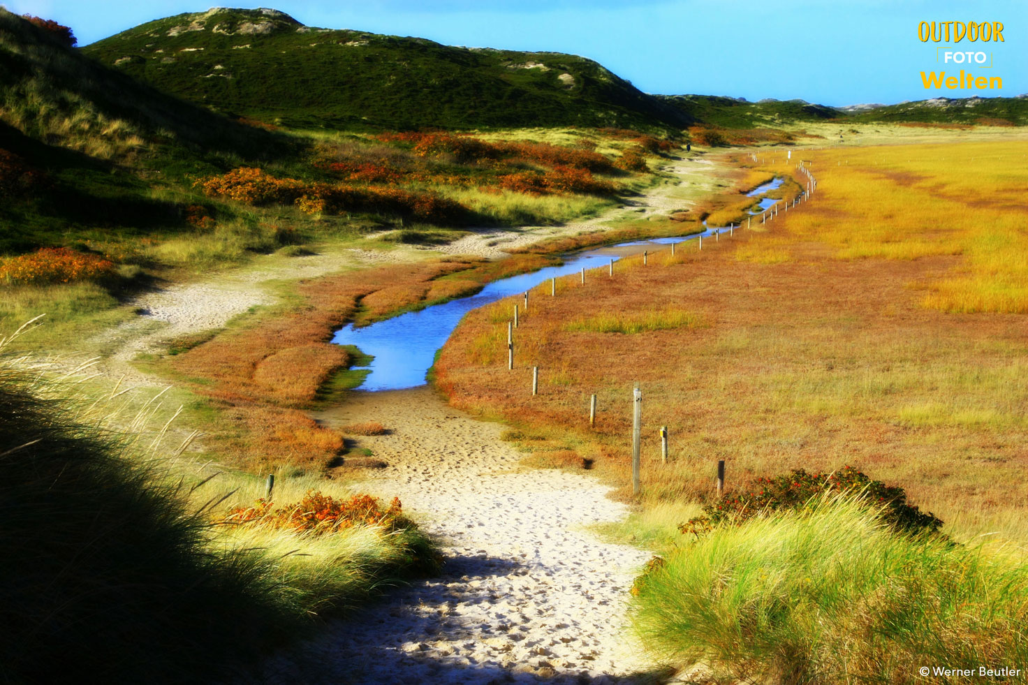 Ein Bach schlängelt sich durch eine sandige Graslandschaft.