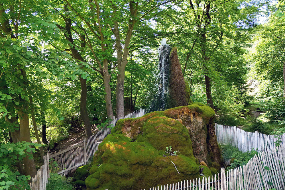 Eingezäunter Baumstumpf aus dem Wasser sprudelt.