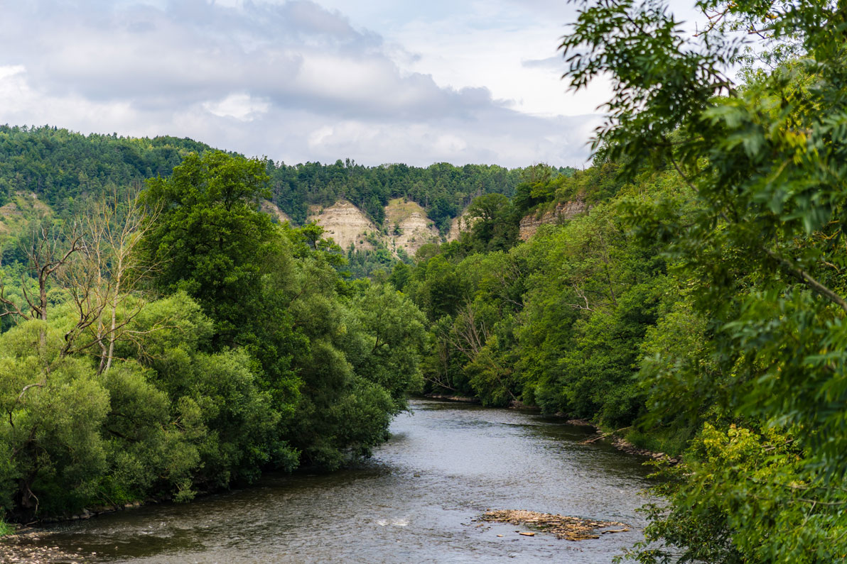 Ein Fluss mit Bäumen links und rechts am Ufer und Felsen in Flussrichtung voraus