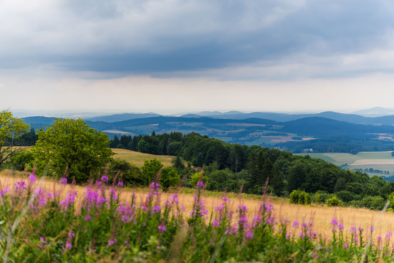 Ausblick blühende Wiesen und Hügelketten am Horizont