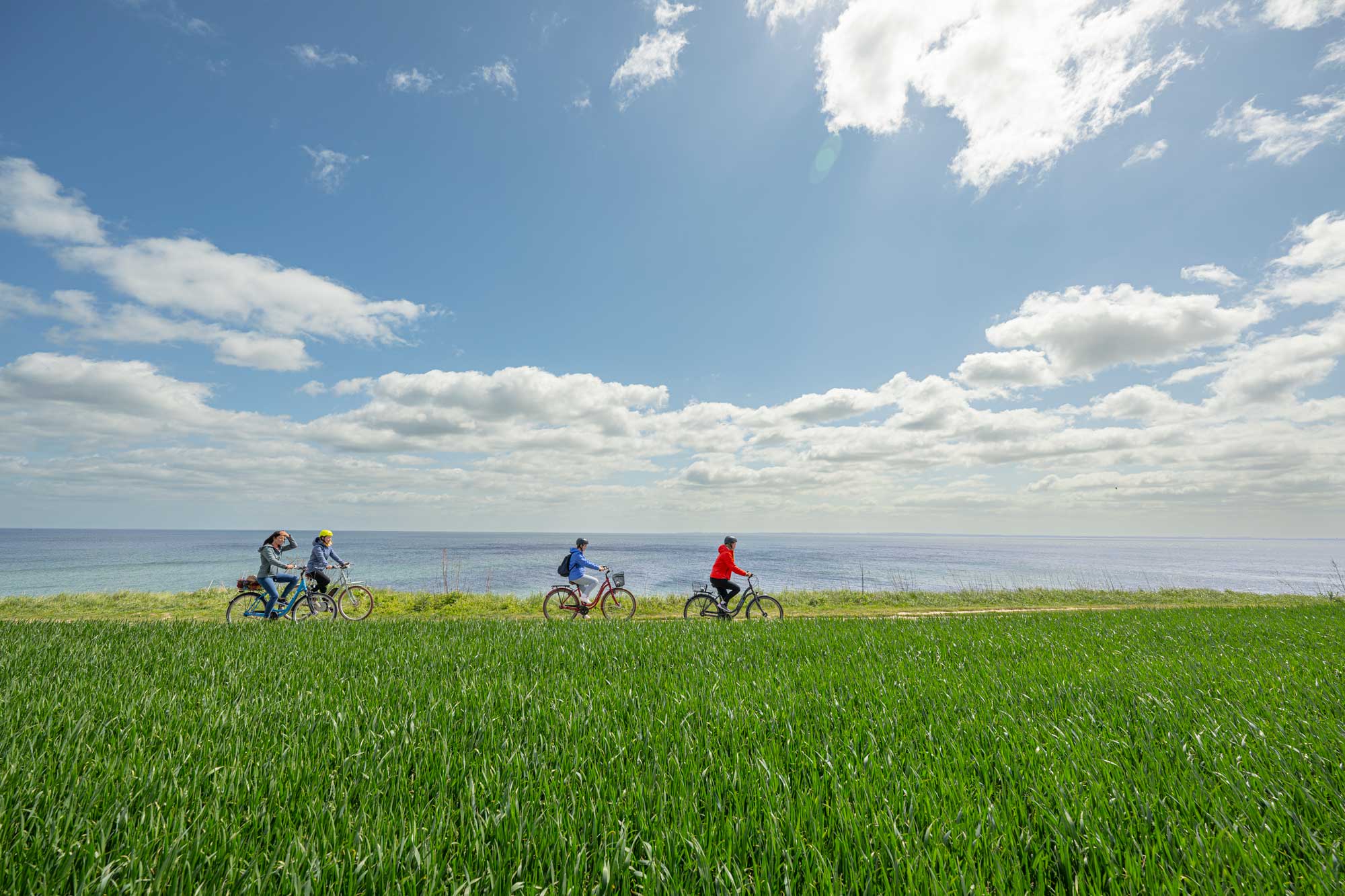 Fahrradfahrende am Meer, im Vordergrund eine grüne Wiese