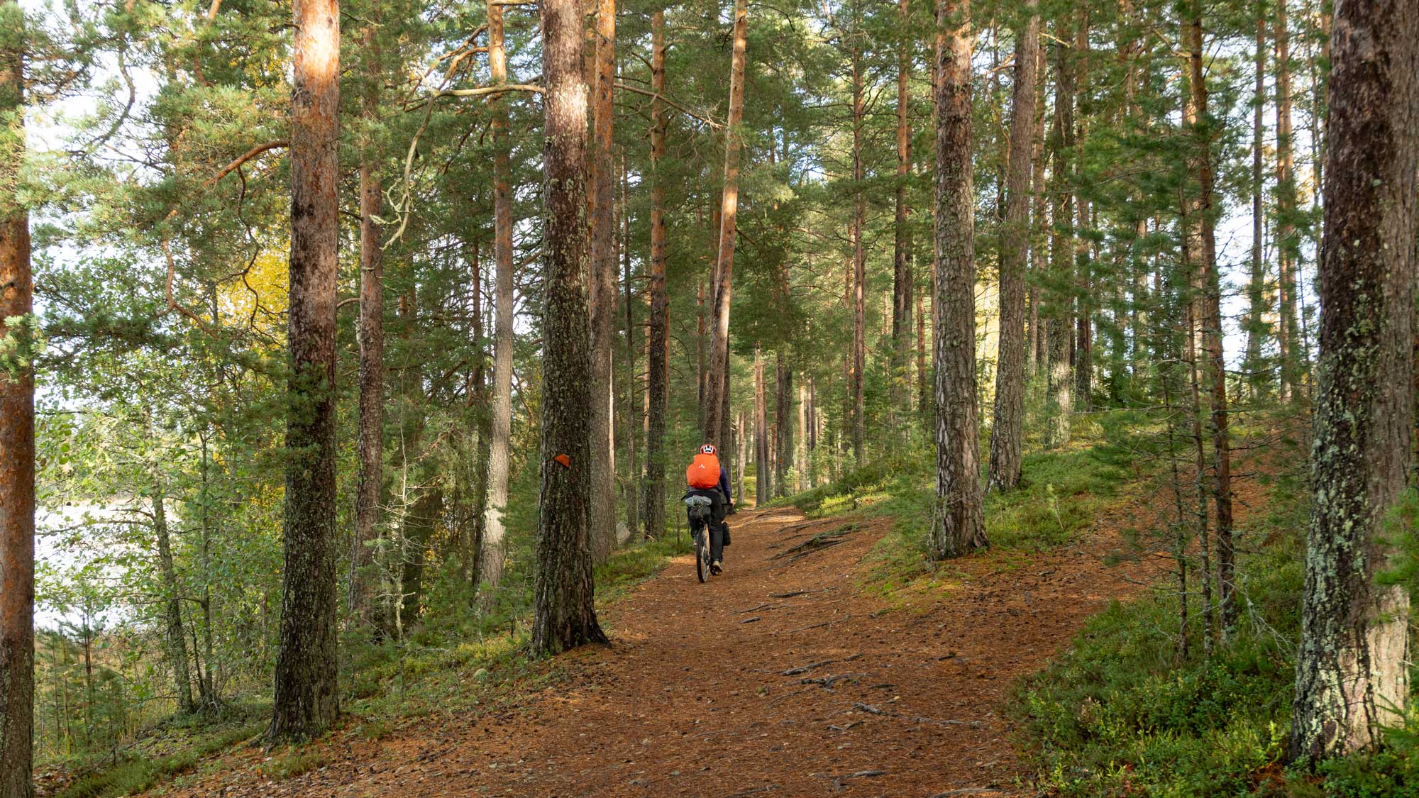 Radfahrende Person an Seeufer durch den Wald in Finnland