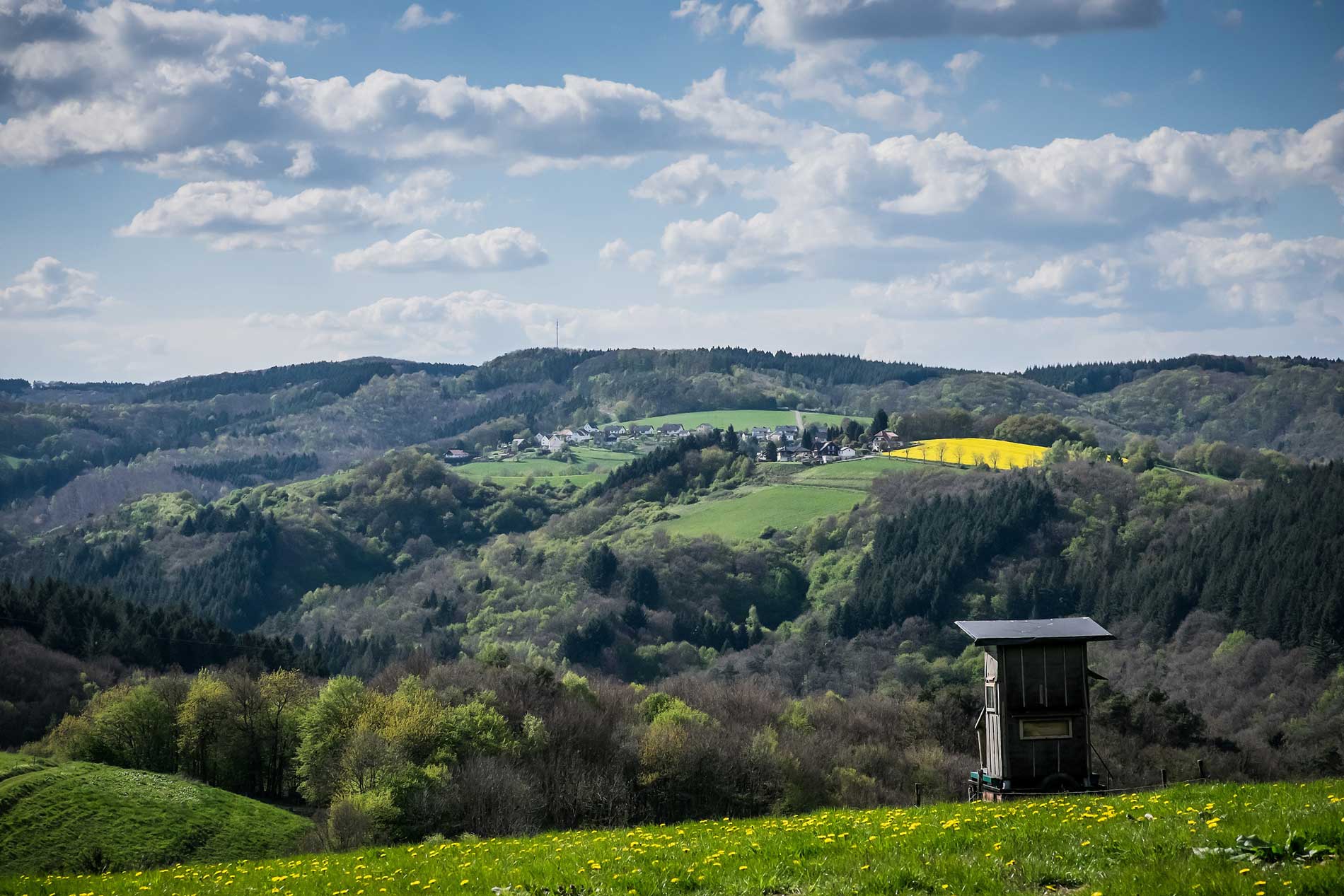 Panoramasicht über Felder und Wälder