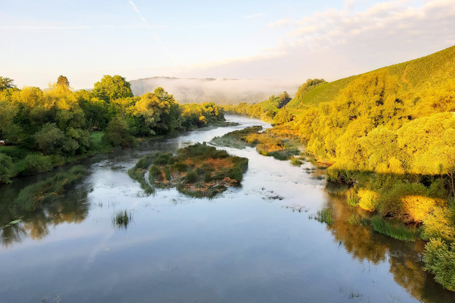 Eine naturbelassene Flusslandschaft im Abendlicht mit dichtem Uferbewuchs und Grasinseln im Wasser