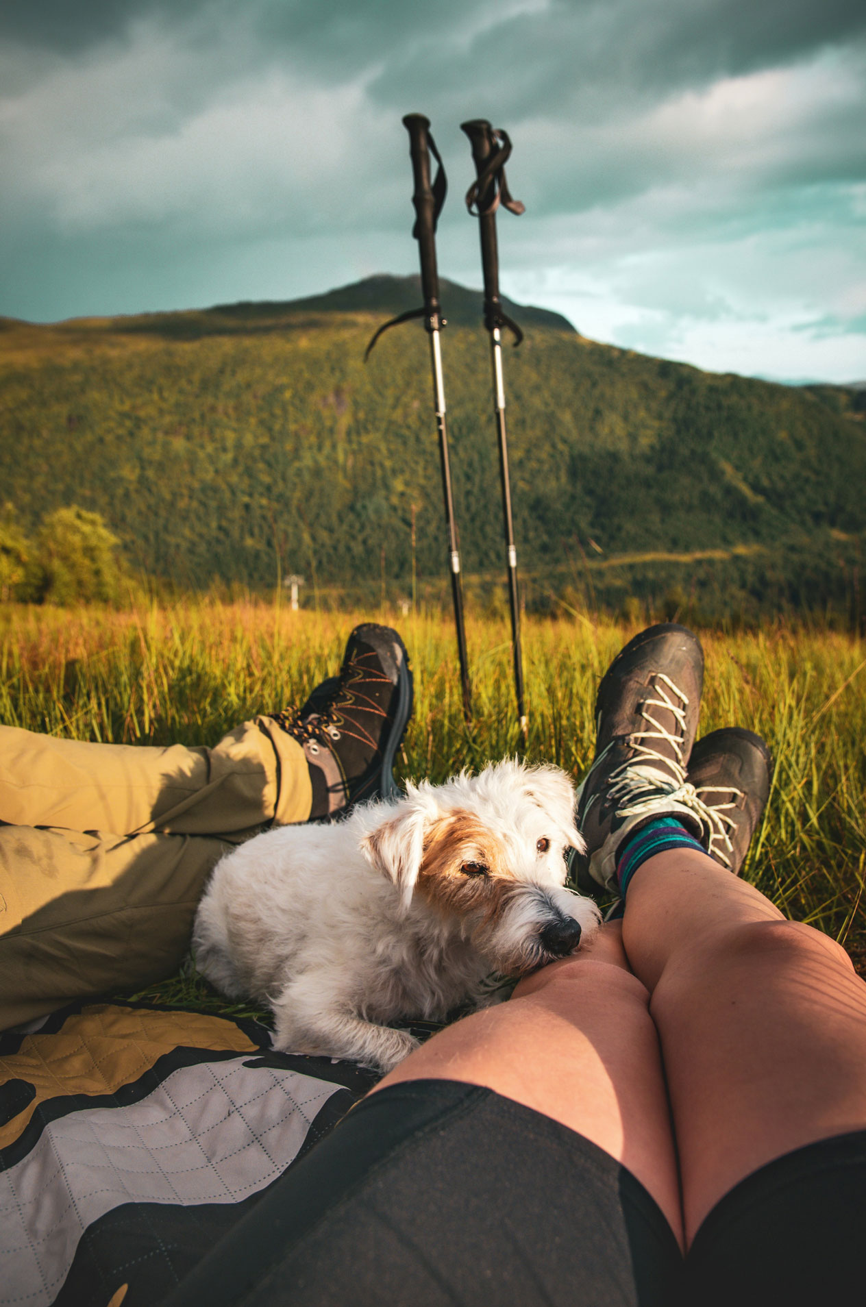 Kleiner Hund liegt zwischen den Beinen zweier Personen, Wanderstöcke und Berg im Hintergrund