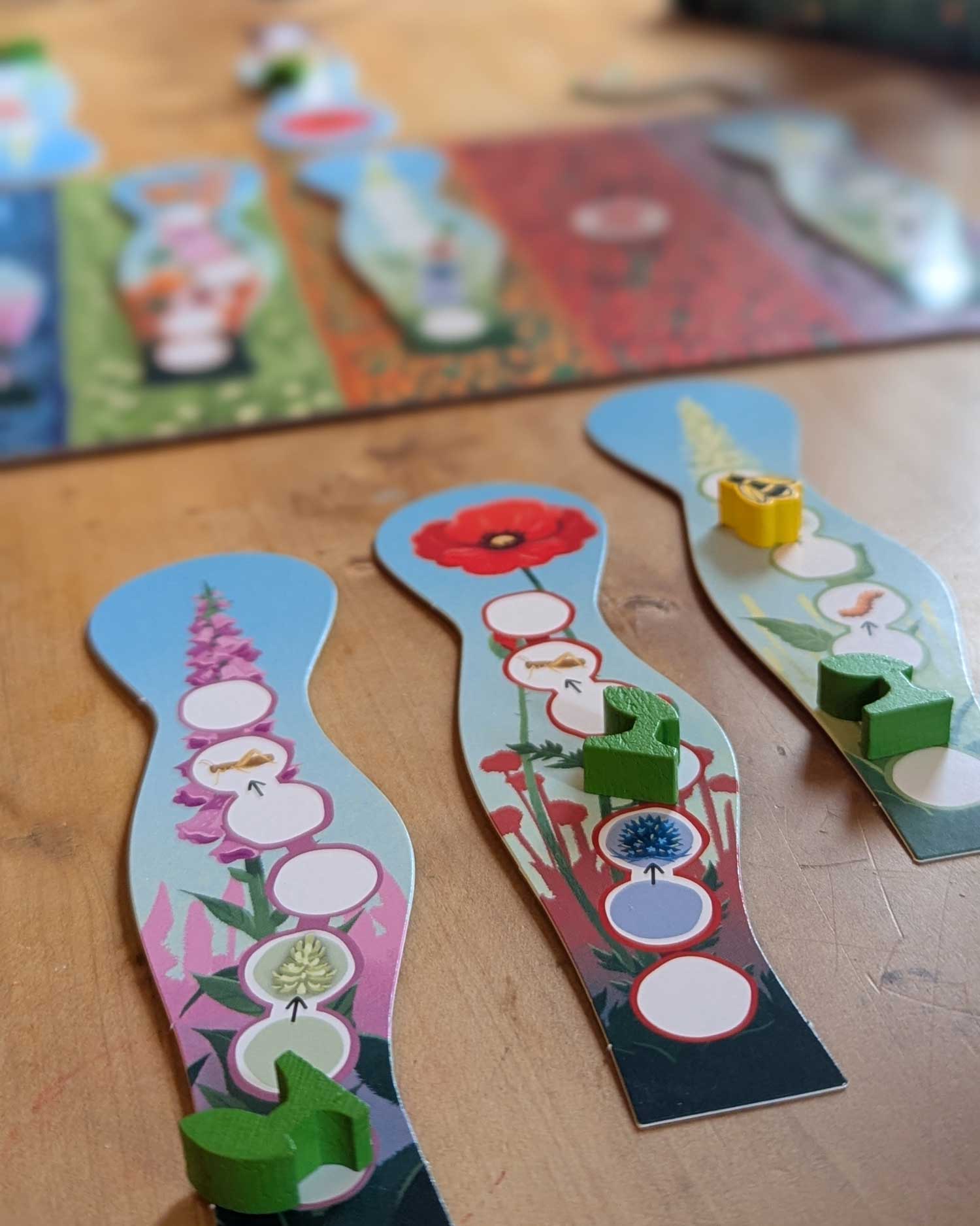 Detailaufnahme von den Spielkarten von Wildwuchs